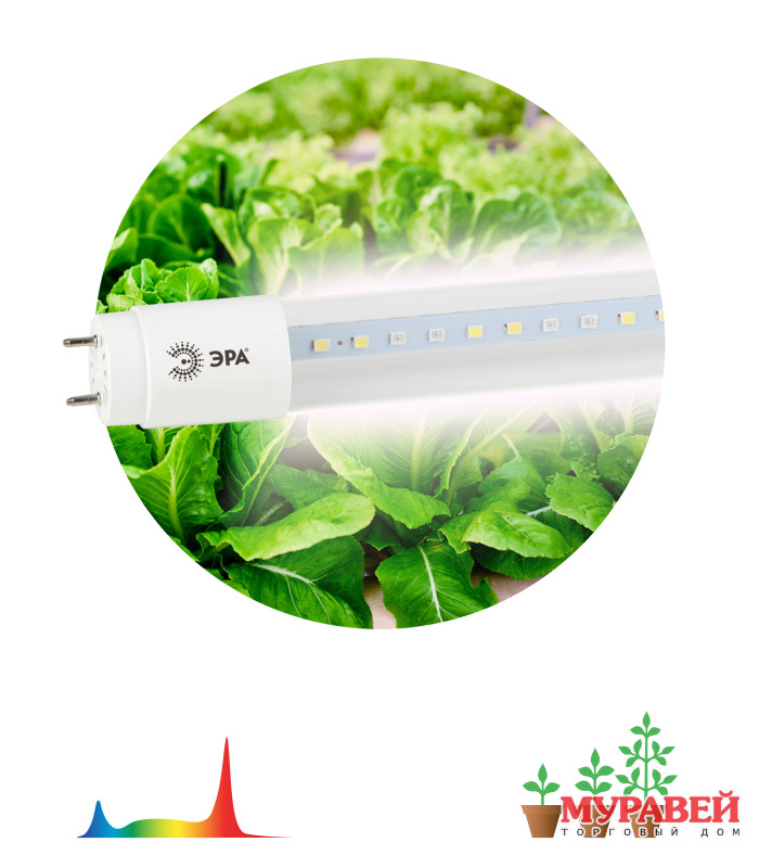 Лампа ЭРА FITO Т8 FITO-9w-RA90-T8-G13-NL