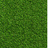 Трава синтетическая «Grass Golf» 1 м