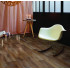 Линолеум Concord Aventura 8 3,5м